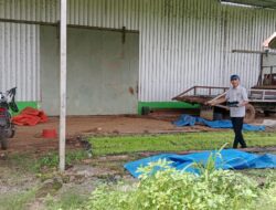 Tiga Tahun Pimpin Desa Lantang, Kades Hamzah Dg Tompo Fokuskan Pembangunan Berkelanjutan Berbasis Pertanian