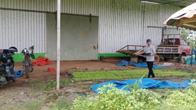 Tiga Tahun Pimpin Desa Lantang, Kades Hamzah Dg Tompo Fokuskan Pembangunan Berkelanjutan Berbasis Pertanian