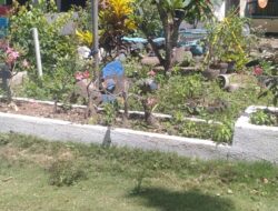 Kelurahan Tolo Berbenah, Halaman Kantor Disulap Lebih Hijau dan Rapi