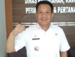 Program Bedah Rumah Jadi Prioritas 2026, Dinas Perumahan dan Permukiman Jeneponto Fokus Layani Warga Kurang Mampu