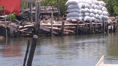 Mangrove Tanakeke Dibabat, Ombak Mulai Masuk Kampung Warga Labbo Tallua