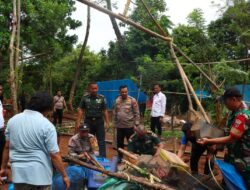 Viral di Medsos, Kapolres Maros dan Dandim 1422 Pimpin Langsung Pembongkaran Arena Sabung Ayam di Tanralili