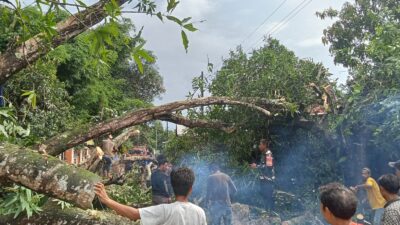 IMG 20260204 WA0058 l Update Sulsel