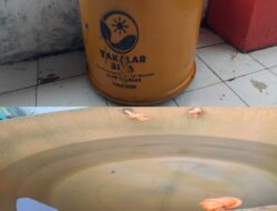 Aktivis Desak Kejari Takalar Selidiki Pengadaan Tong Sampah DLHP