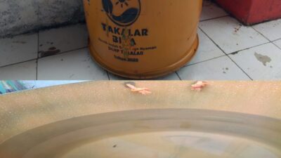 Aktivis Desak Kejari Takalar Selidiki Pengadaan Tong Sampah DLHP
