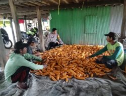 Bhabinkamtibmas Panyangkalang Turun ke Ladang, Dampingi Petani Jagung Dukung Ketahanan Pangan