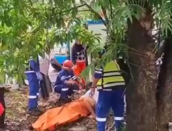 Istri Anggota DPRD Sulsel Meninggal Dunia dalam Kecelakaan di Tol Reformasi Makassar