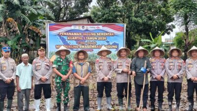 Polres Takalar Ikuti Arahan Kapolri, Tanam Jagung Serentak Dukung Program Swasembada Pangan Nasional
