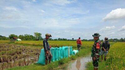 IMG 20260308 WA0052 l Update Sulsel