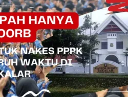 Upah Rp100 Ribu untuk NAKES PPPK Paruh Waktu di Takalar: Jauh dari UMR dan Bertentangan dengan Aturan Pusat
