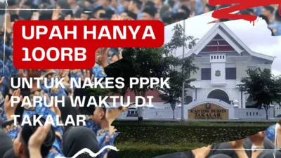 Upah Rp100 Ribu untuk NAKES PPPK Paruh Waktu di Takalar: Jauh dari UMR dan Bertentangan dengan Aturan Pusat