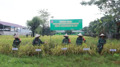 Panen Raya Padi Kodim 1426 Takalar, Bukti Nyata Dukung Ketahanan Pangan dan Tekan Inflasi