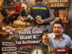 Judi Sabung Ayam di Gowa Kian Marak, Aktivis Desak Penindakan Tegas Aparat