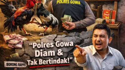 Judi Sabung Ayam di Gowa Kian Marak, Aktivis Desak Penindakan Tegas Aparat