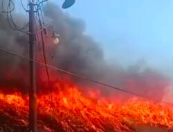 Paduppa Resort Bira Terbakar, Dugaan Tamu Terjebak Masih Didalami