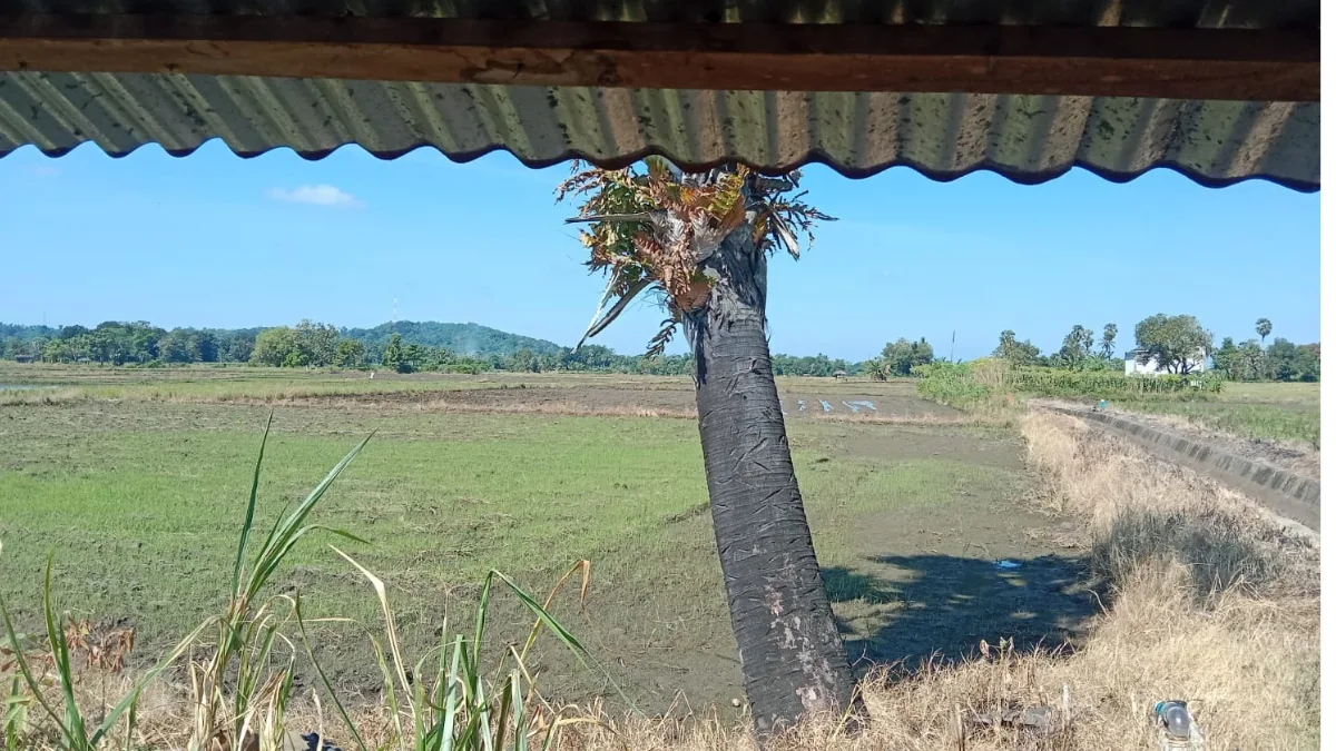 Distribusi Air Irigasi Dikeluhkan Warga Takalar, Koordinasi Antarpetugas Dipertanyakan