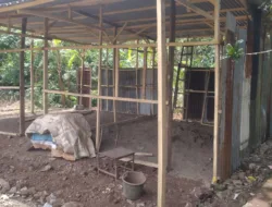 Pemdes Rumbia Wujudkan Kepedulian, Salurkan Lahan dan Material Rumah untuk Warga Kurang Mampu