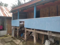 Bedah Rumah Kembali Hadir di Desa Rumbia, Bukti Sinergi Pemdes dan DPR RI untuk Warga Kurang Mampu