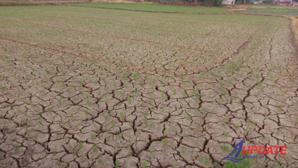 SAWAH KERING, JANJI BASAH: Di Tengah Gembar – Gembor Nasional, Petani Takalar Ditinggal Air dan Kepastian