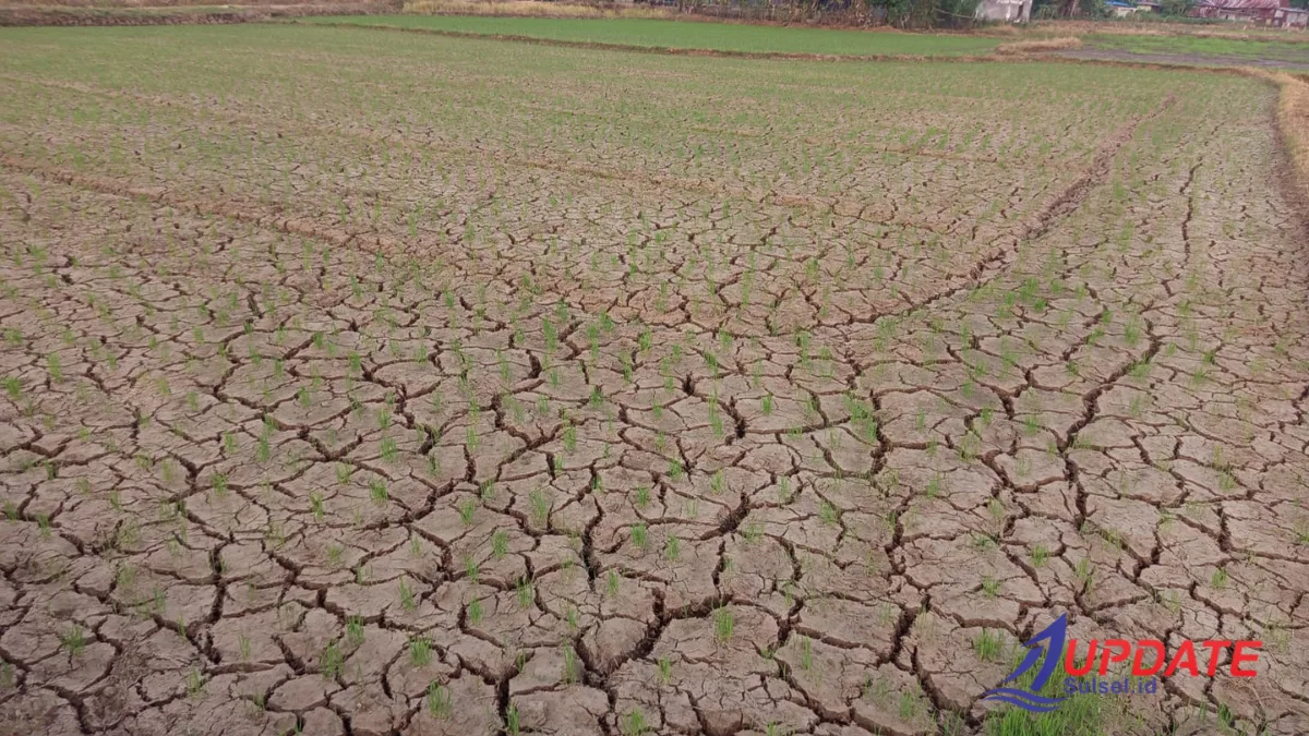 Kejaksaan Agung 20260421 194452 0000 l Update Sulsel