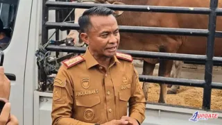 Bupati Bone Pastikan Warga Bahagia di Idul Adha Lewat Distribusi 46 Sapi Kurban