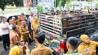 Fantastis! 4.672 Hewan Kurban Tercatat di Bone, Data Masih Berpotensi Bertambah.