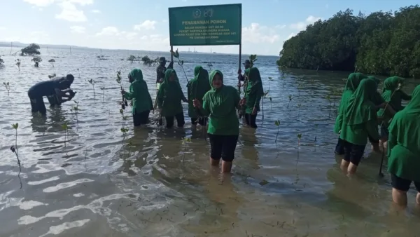 Jaga Pesisir Pantai, Ny. Artika Anton Milala Pimpin Ibu-Ibu Persit Tanam Mangrove di PPLH Puntondo