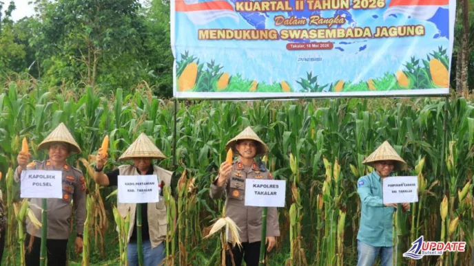 Polres Takalar Dukung Ketahanan Pangan, Panen Raya Jagung Serentak Digelar di Polongbangkeng Selatan