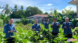 Sukses Bina Warga Binaan, Lapas Takalar Panen 35 Kg Terong