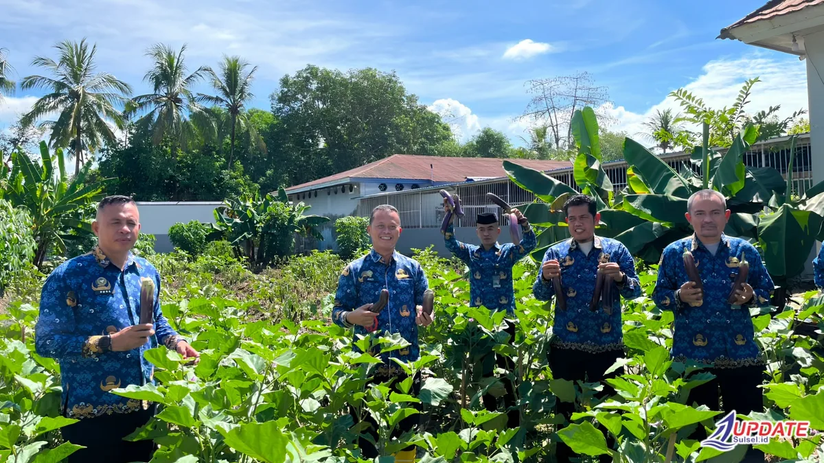 Sukses Bina Warga Binaan, Lapas Takalar Panen 35 Kg Terong 1 Panen Terong di Kebun Binaan Lapas Takalar 20260617 193547 0000 l Update Sulsel