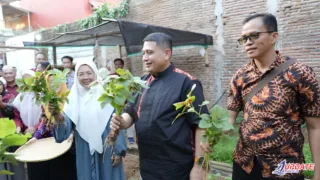 Wali Kota Makassar Panen Bersama Warga Tallo, Urban Farming Perkuat Ketahanan Pangan dan Ekonomi Keluarga