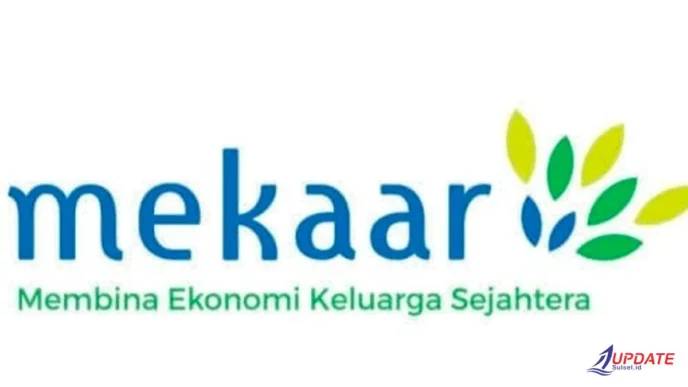Karyawan PNM Mekaar di Takalar Dikeluhkan Nasabah, Diduga Gunakan Bahasa Tak Pantas Saat Penagihan