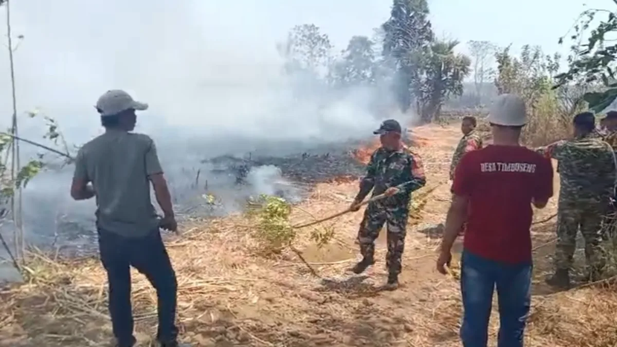 Lahan Tebu PTPN 1 Regional 8 di Takalar Terbakar