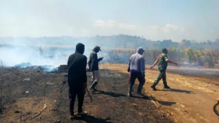 Babinsa Serka Samang Bersama Damkar Padamkan Kebakaran Lahan Tebu PTPN di Polsel