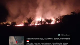 Dua Titik Karhutla di Polman Tembus 20 Hektare, Satgas Tingkatkan Kesiapsiagaan