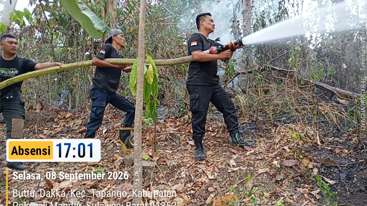 Tangani Lima Kebakaran Sehari Semalam, Satgas Karhutla Damkar Polman Lanjutkan Validasi dan Perkuat Sinergi Desa Pascakebakaran